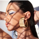 Trendy metal hoop earring