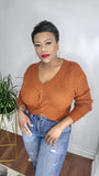 The rust knitted sweater